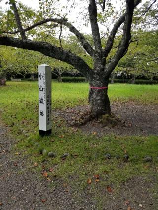 小山城の登城記録(ひでちゃんさん)