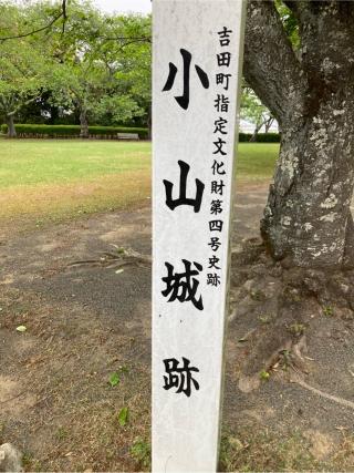 小山城の登城記録(マサルさん)
