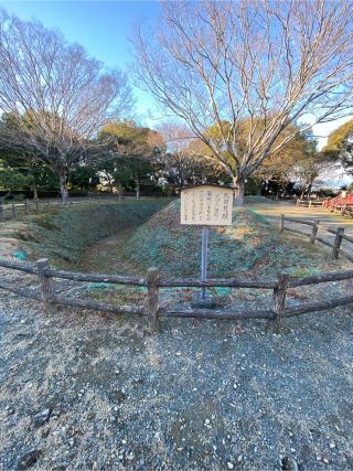 小山城の登城記録(クレナイトさん)