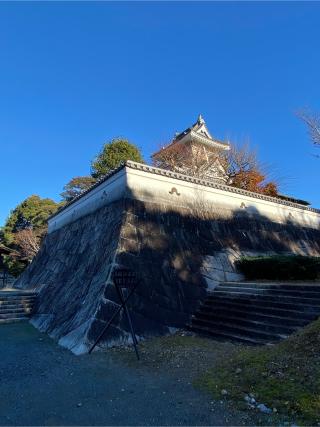 小山城の登城記録(クレナイトさん)