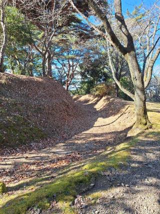 天方城の登城記録(ひでちゃんさん)