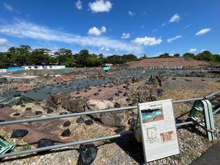 駿府城（府中城・静岡城）の登城記録(A.S.Y.さん)