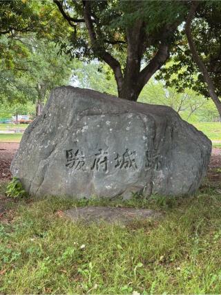 駿府城（府中城・静岡城）の登城記録(無極さん)