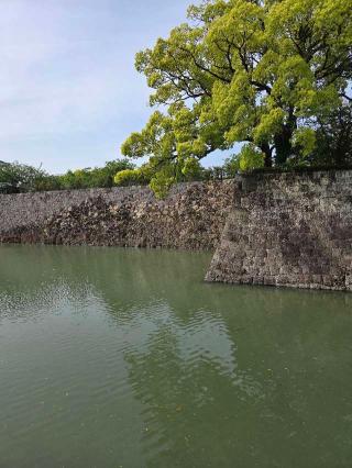 駿府城（府中城・静岡城）の登城記録(jinさん)