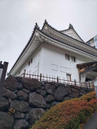 駿府城（府中城・静岡城）の登城記録(はたしんさん)