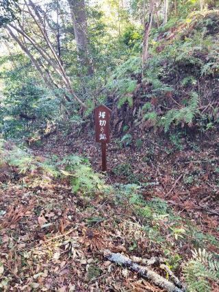 小瀬戸城の登城記録(マリリさん)