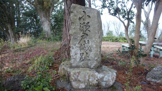 静岡県静岡市葵区小瀬戸９９４ 小瀬戸城の写真1