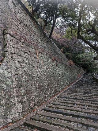 久能城（久能山城）の登城記録(泰成さん)