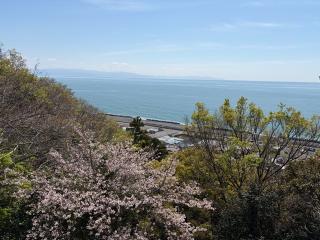 久能城（久能山城）の登城記録(げんさんさん)