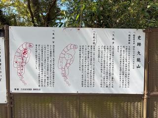 久能城（久能山城）の登城記録(げんさんさん)
