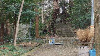 久能城（久能山城）の登城記録(洸あきらさん)