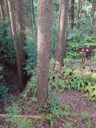 丸子城の登城記録(気分は上昇さん)