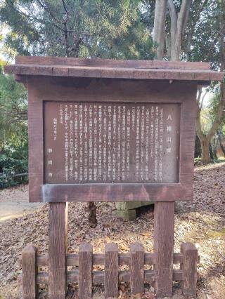 八幡山城の登城記録(マリリさん)