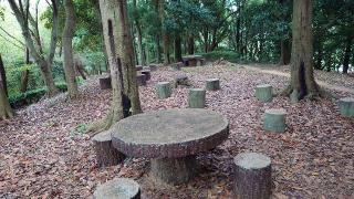 八幡山城の登城記録(アリケンさん)