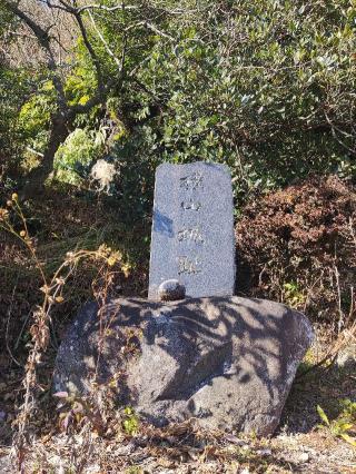 横山城の登城記録(マリリさん)