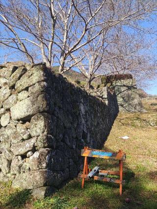 小島陣屋の登城記録(マリリさん)