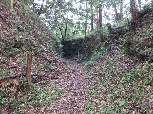 静岡県沼津市根古屋 興国寺城の写真2