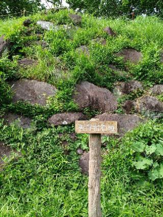 興国寺城の登城記録(ひでちゃんさん)