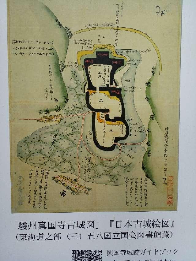 静岡県沼津市根古屋 興国寺城の写真1