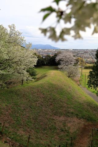 興国寺城の登城記録(こにーさん)