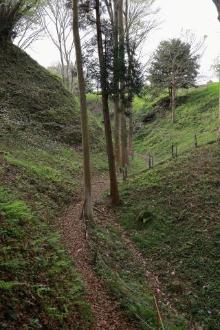 興国寺城の登城記録(こにーさん)