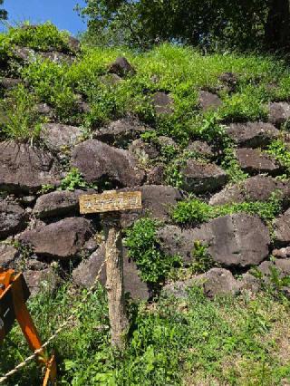 興国寺城の登城記録(jinさん)