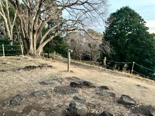 興国寺城の登城記録(なみしょうさん)