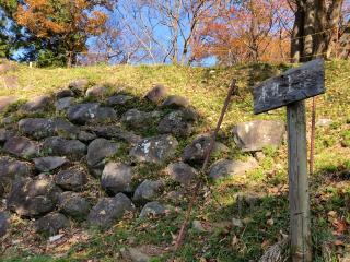 興国寺城の登城記録(名古屋 山三郎さん)