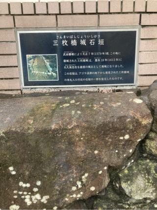 三枚橋城の登城記録(むらくんさん)