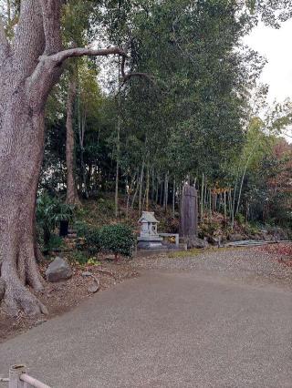 阿野館の登城記録(マリリさん)