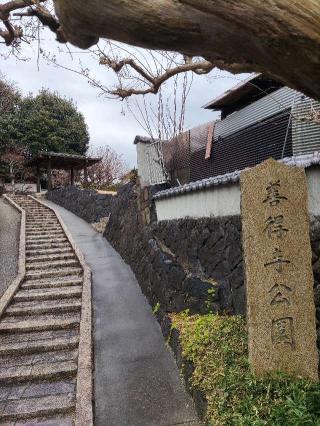 善得寺城の登城記録(マリリさん)