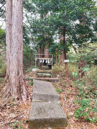 間門城（夷城）の登城記録(マリリさん)