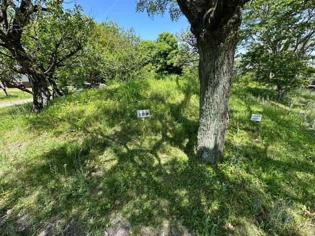 静岡県藤枝市田中１丁目７−２０ 田中城の写真7