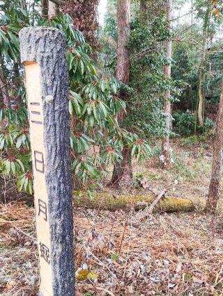 深沢城の登城記録(マリリさん)