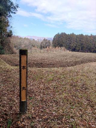 深沢城の登城記録(マリリさん)