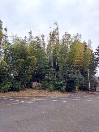 大雲院土居の登城記録(マリリさん)