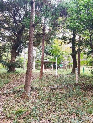 葛山城の登城記録(マリリさん)