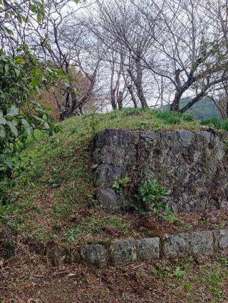 葛山館の登城記録(マリリさん)