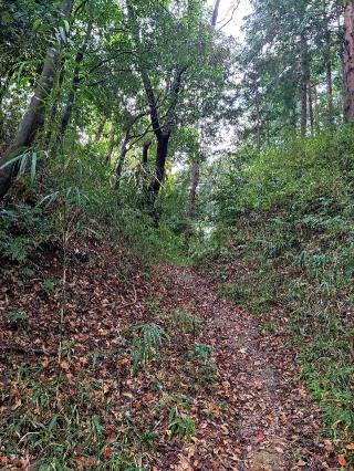 南一色城の登城記録(マリリさん)