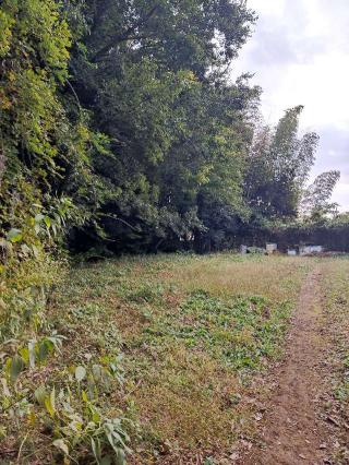 南一色城の登城記録(マリリさん)