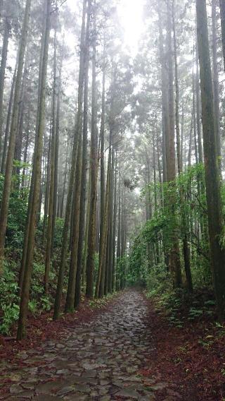 山中城の登城記録(のんさん)