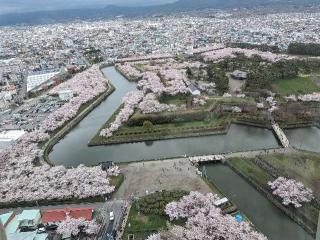 五稜郭の登城記録(千　百万さん)