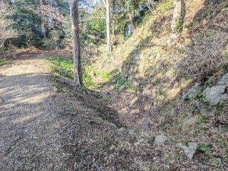 下田城（鵜島城）の登城記録(泰成さん)