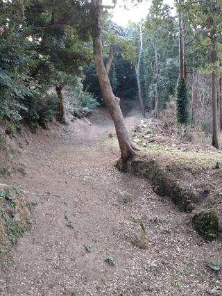 下田城（鵜島城）の登城記録(タケローさん)