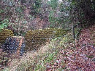 狩野城の登城記録(りょうさん)