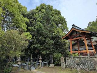 守山城の登城記録(SFUKUさん)