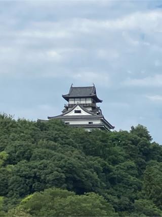 犬山城の登城記録(ヒレオさん)