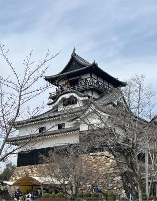 犬山城（白帝城）の登城記録(7372さん)