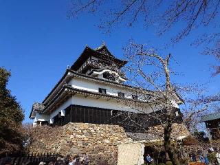 犬山城（白帝城）の登城記録(本多百助さん)