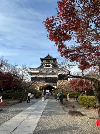 犬山城（白帝城）の登城記録(からしさん)